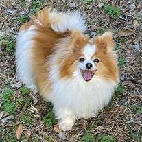 Bella Baker