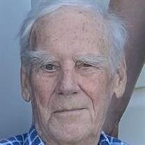 Albert Taylor Stultz