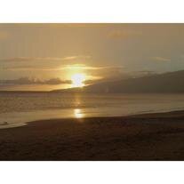 David "Dave" Darryl Wandrei