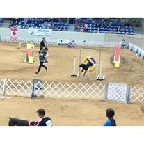 Clark Steve Osojnicki