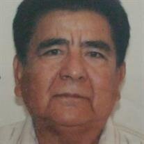 Pedro Aviles Palacios