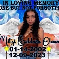 Mitzi Yareli Saldana Clemente