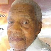Mr. Roy Lee Williams