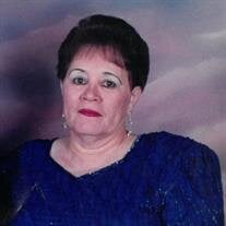 Angelica Donato