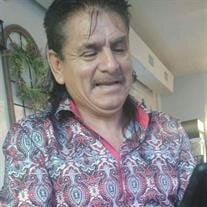 Joaquin Perales Guzman
