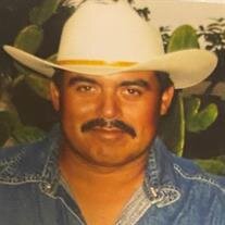 Mr. Senovio Ibarra