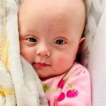 Hadley Grace Hollis