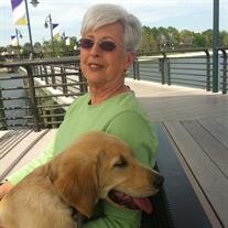 Sharon Sue DeFelice