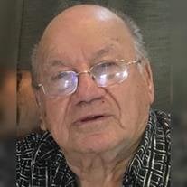 John Dominic D'Amato