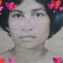 Nellie S. Hastoo