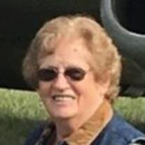 Mrs. Ann J. Murphy