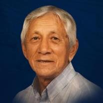 Leon Hammer