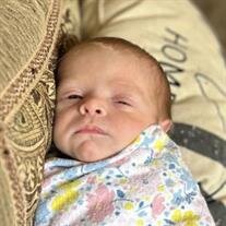 Saige Jane Breeze Norwood