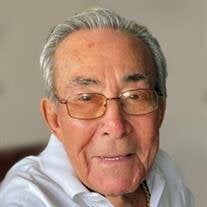 Vito J. Moceri