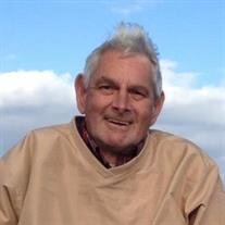 Mark W. Brammer