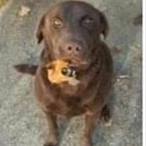 Odie Self