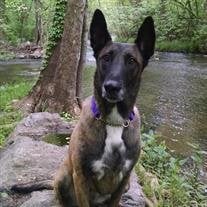 K-9 Rena Nelson
