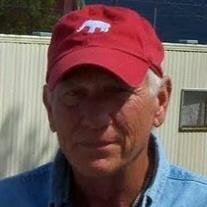 Mr. Stephen George McGehee
