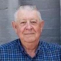 Mr. George Dale Williamon
