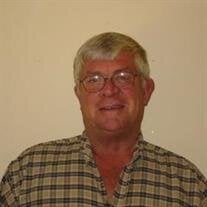 David R Mires