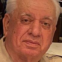 MARK FELDMAN