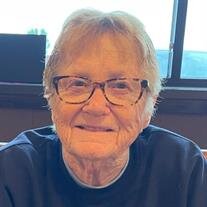 Karen J. Schmidtke