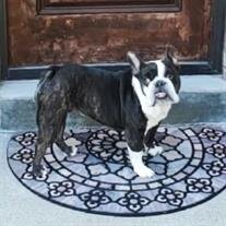 Cooper Varrati