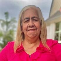 Maria Olimpia (Pimpa) Polio