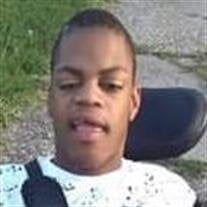 Mr. Lance A. Dillard Jr.