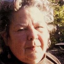 Pamela S Lonnroth