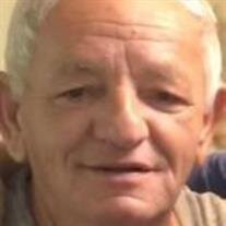 Mr. Ivo Ban