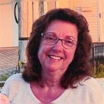 Lynn Rocco