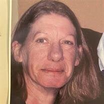 Donna Cook