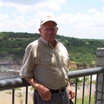 Roy M Dodson