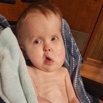 Joshua Lee Ryan Sohler