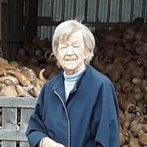 Shirley Ann (Griffin)  Knight