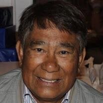Johnny P. Anteola Jr.