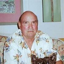 Mr. George Junior Dillon