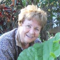 Mary Jo Stonie