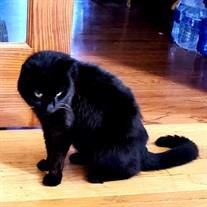 Onyx Richard