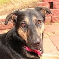 Pepper Pippa Logan Thomas
