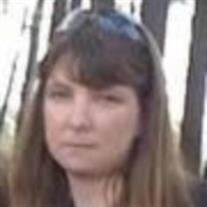 Diane Lynn Blinkhorn Nerschl