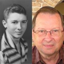 Mr. Terry Alan Lambert