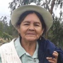 Maclovia Guaman