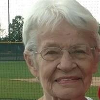 Mrs. Patricia Ann Stepanovich (Peters)