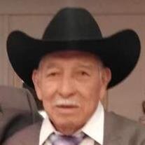 Guadalupe Garcia Estrada