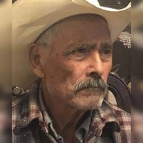 Martin Rocha Flores