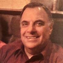 Hubert Alfred Vighetti Jr.