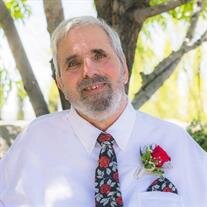 David P. Sturino
