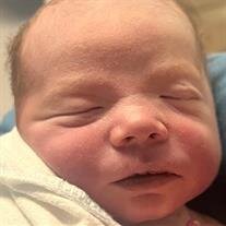 Luke Lee Damiens